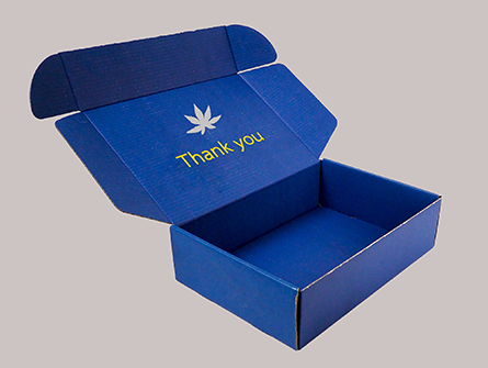  Blue Postal Mailer Box For Clothes